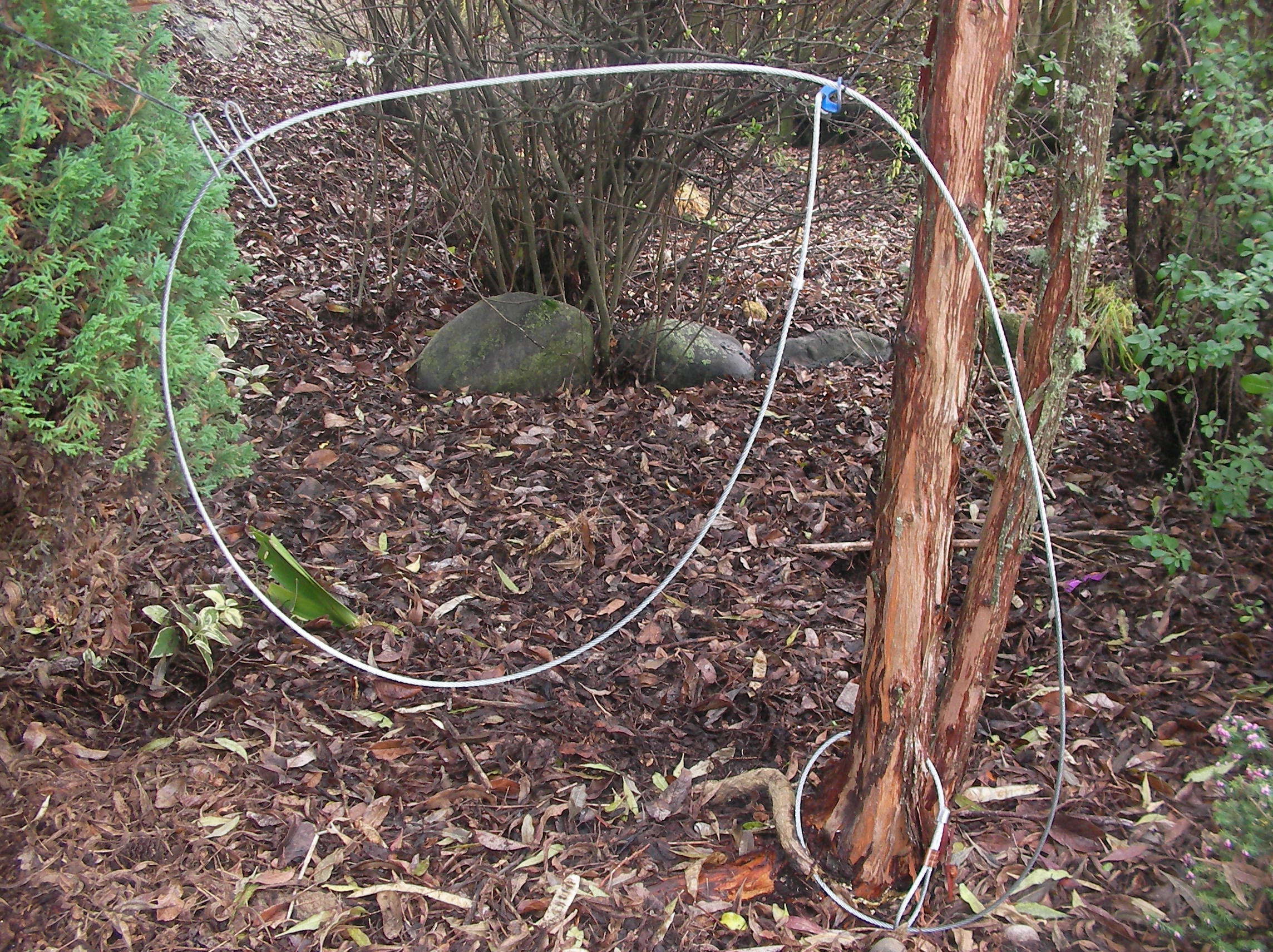 Kiwi Trapping Supplies